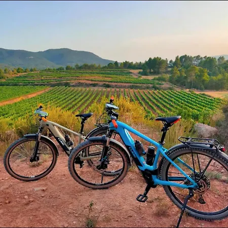 Les Voltes Ii - 3bd Gem In Hilltop Wine Village With Amazing Views Barbara